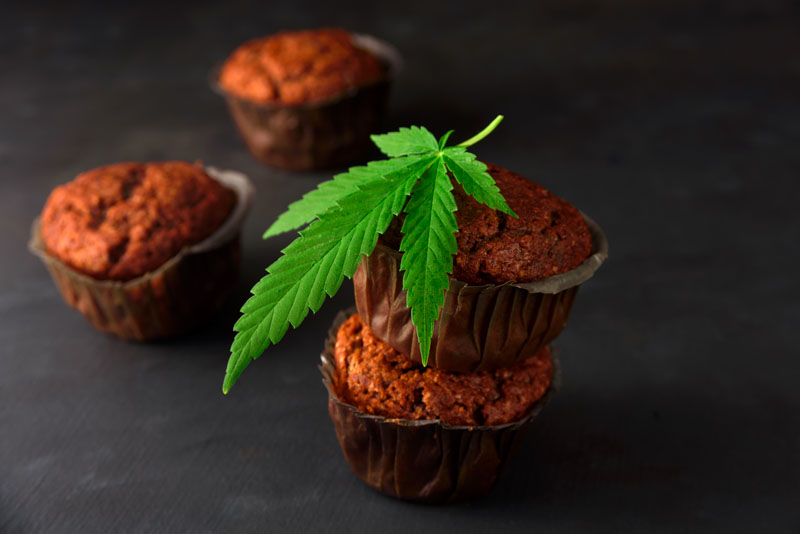Recette de space cake au chocolat maison avec dosage THC CBD