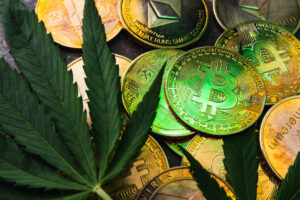 Achat de THC & CBD en cryptomonnaie chez Space Cake