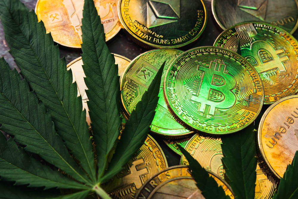 Achat de THC & CBD en cryptomonnaie chez Space Cake
